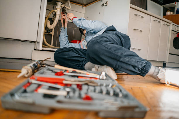 Best Plumbing Inspection Services  in Ramsey, MN