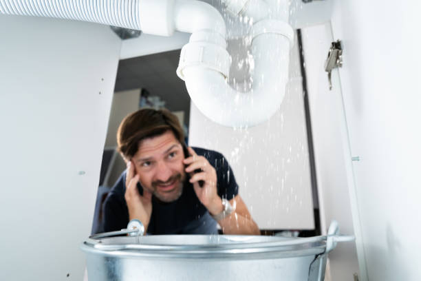 Best Commercial Plumbing Services  in Ramsey, MN